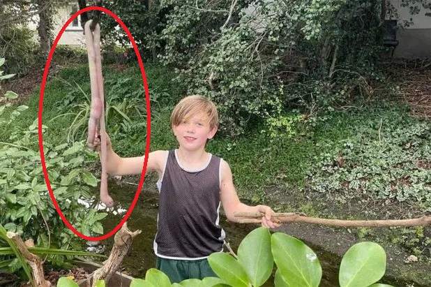 Загадки природы - Мальчик обнаружил в саду редкого дождевого червя в 1 метр длиной