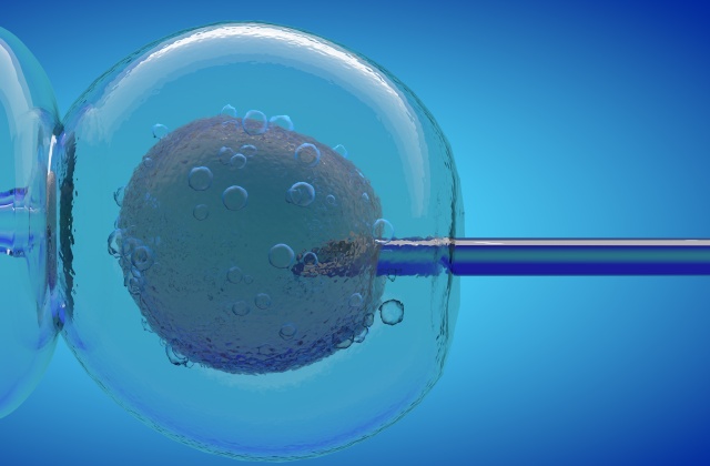 Чудеса науки - Дети, рожденные без яйцеклеток и сперматозоидов, могут стать реальност...