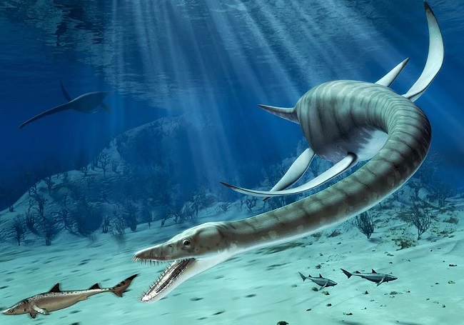 Древние животные - Плезиозавры обитали и в пресноводных водоемах, что поддерживает самую ...