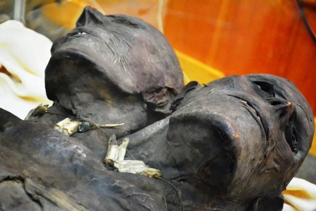 Кап Два - загадочная мумия двухголового гиганта из Патагонии