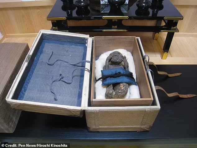 Тайна японской мумии русалки наконец раскрыта