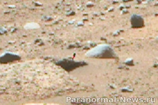 Странный маленький розово-зеленый объект на марсианском фото