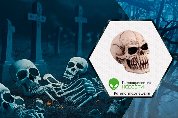 Захоронение сотен «вампиров» случайно раскопали в Польше