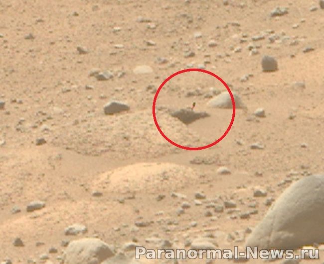 Странный маленький розово-зеленый объект на марсианском фото