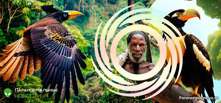 🦅 Криптид Новой Гвинеи - огромная птица-носорог