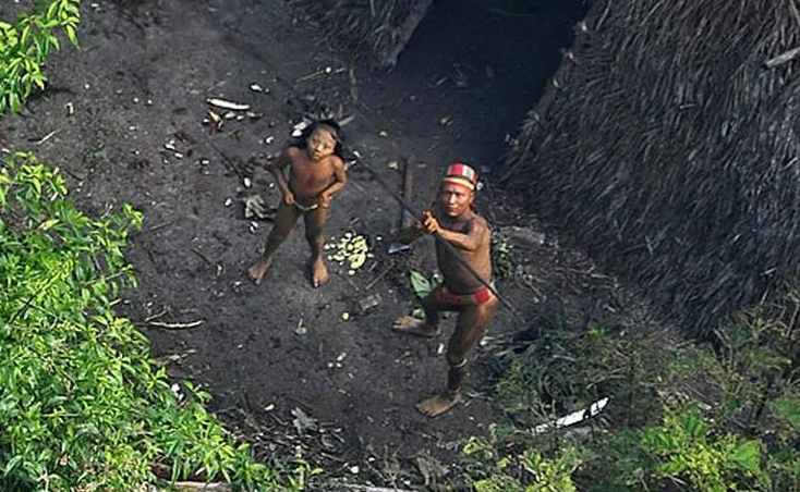 🏹 Дикари изолированного племени Амазонки убили лесоруба, сняв с него кожу и выпотрошив «как рыбу»