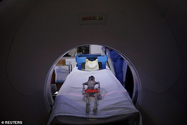 👽 Проведена компьютерная томография «инопланетной женщины» из Перу: Нет признаков склеивания и других посмертных манипуляций