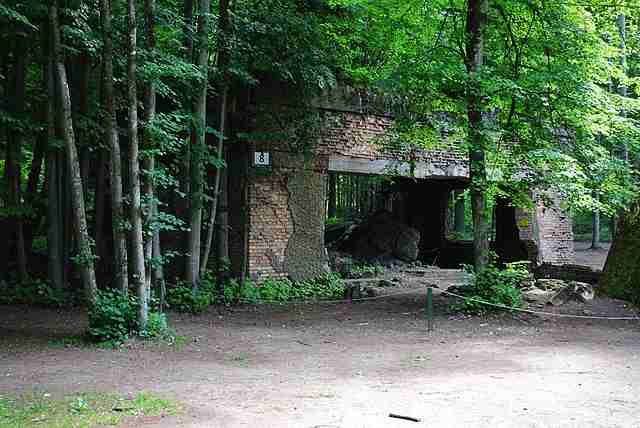 Оккультизм Третьего Рейха: Под домом Геринга найдены расчлененные останки пяти человек, окруженные «чертовыми пальцами»