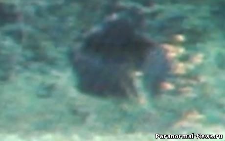 В Кентукки (США) сфотографировали гориллоподобное существо (+ видео)