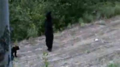 Из-за отсутствия одной лапы медведица перемещается по лесу на двух ногах, как человек. (видео)