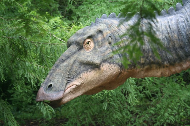 Найдены кости динозавров, живших после официальной даты их вымирания