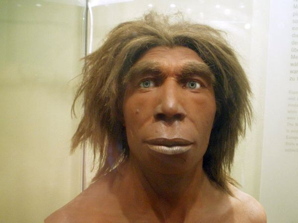 Загадки неандертальцев