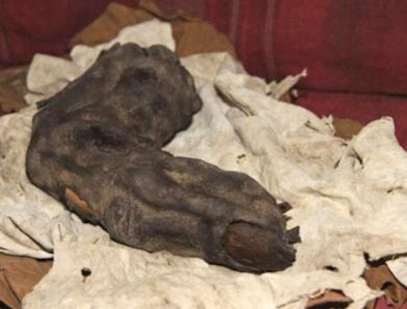 В Египте найден палец великана
