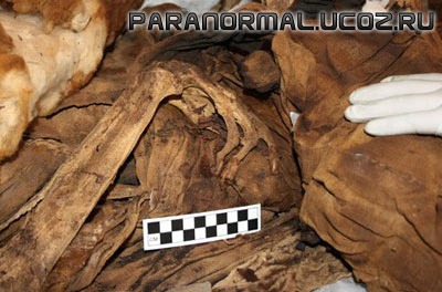 В Перу найдена тысячелетняя мумия с татуировкой