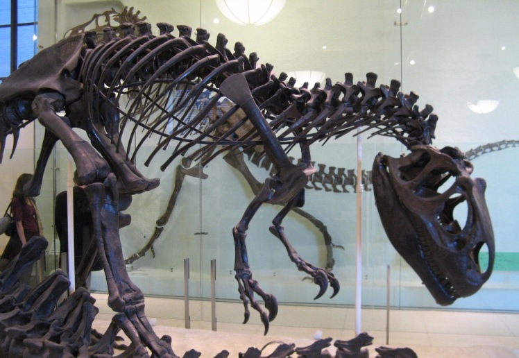 В костях динозавров все-таки можно найти живые клетки