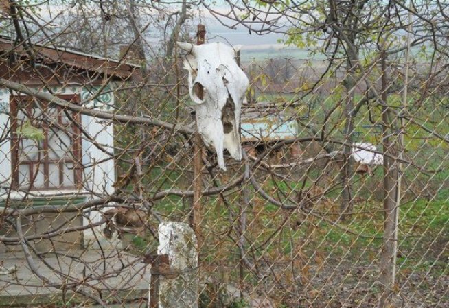 Украинец увешал двор черепами животных от сглаза