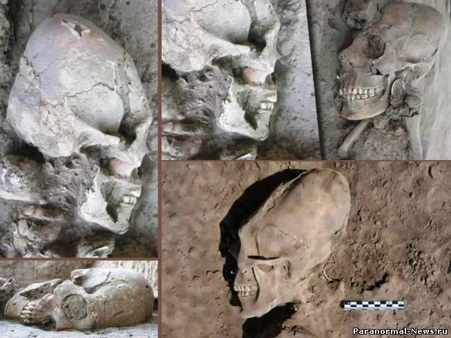 Найдены новые останки с вытянутыми черепами