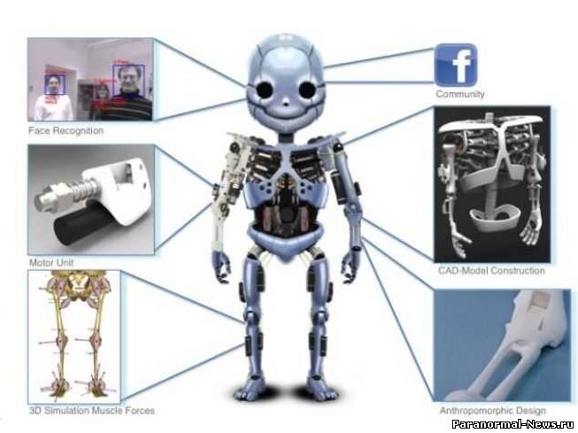 Ученые собираются создать робо-ребенка с искусственными мышцами