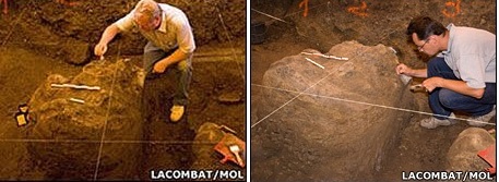 Во Франции найден череп редкого степного мамонта