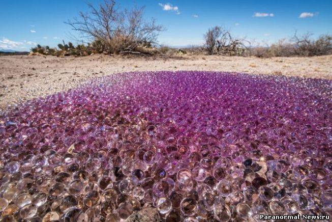 Странные фиолетовые шарики найдены в аризонской пустыне