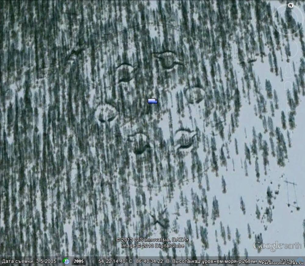 Необычные круги в лесу Беловского района Кемеровской области