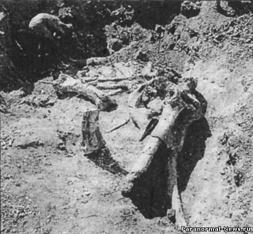 Странные костные останки людей из Кастеидолло