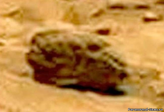 Странный камень с Марса похож на череп инопланетянина