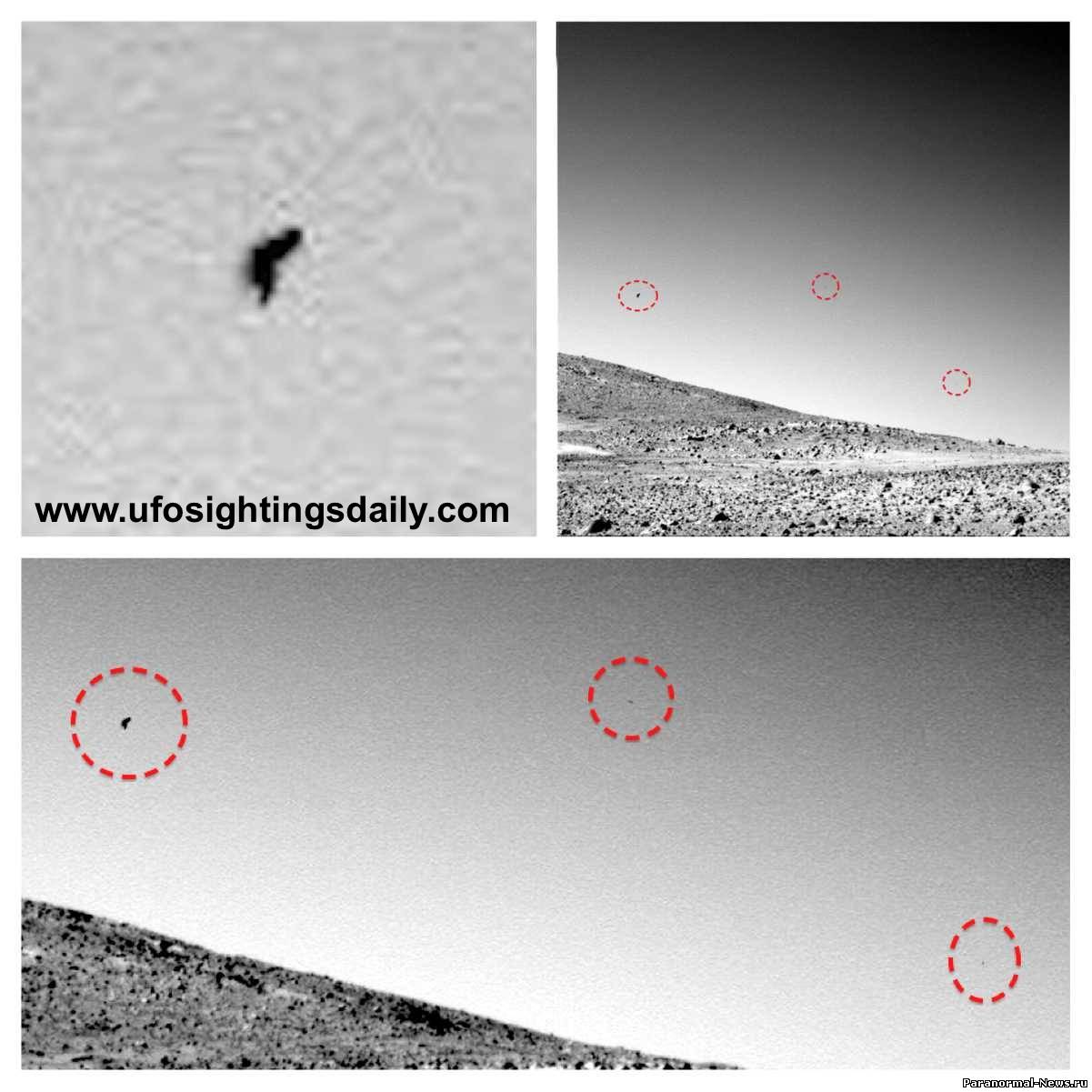 На фото с Марса нашли летящую птицу