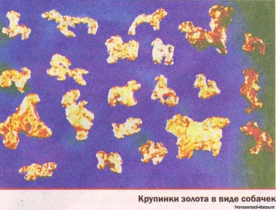 Необычные золотые изделия с сибирской реки дело рук древних славян?