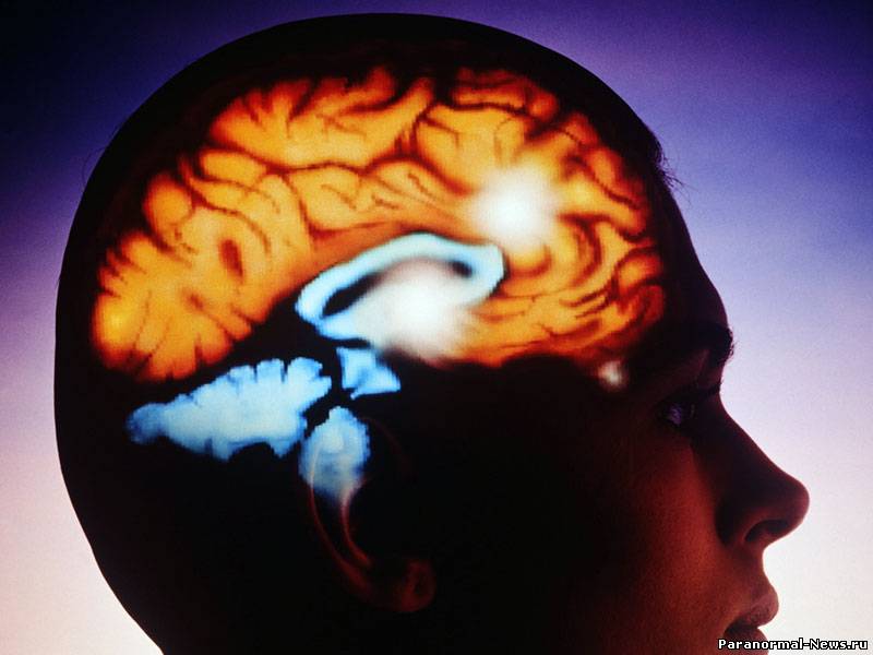 5 способов, которыми мозг морочит нам голову