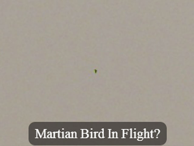 На Марсе засняли зеленую птицу