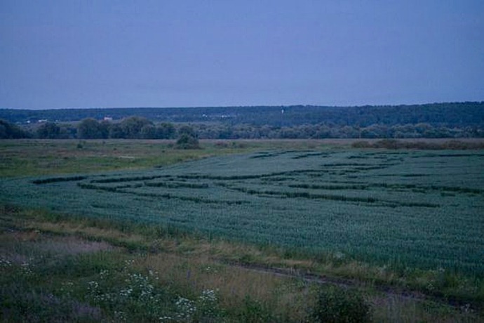 Узоры на полях Серпуховского района