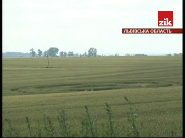 Круги на поле в Львовской области