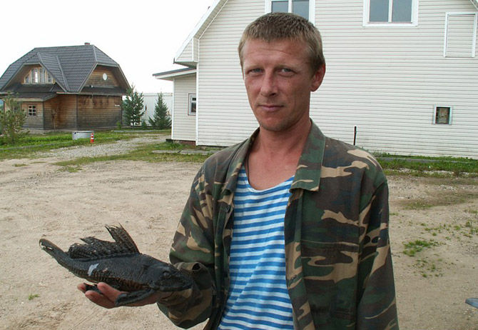 В Вологодской области из реки выловили тропическую рыбу