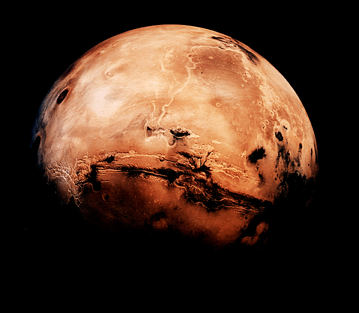 Жизнь на Землю прибыла с Марса