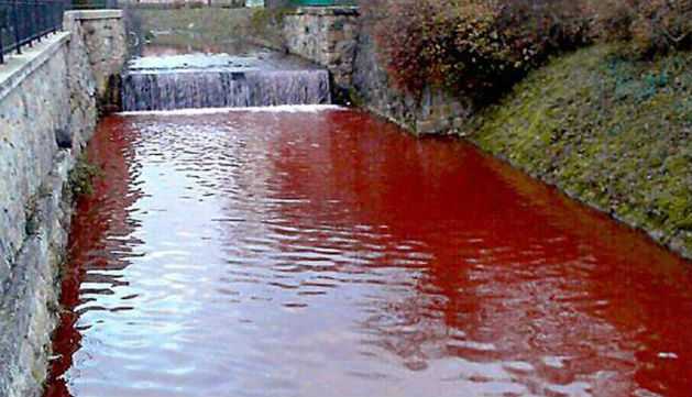 Появление кровавой реки спровоцировало панику среди горожан