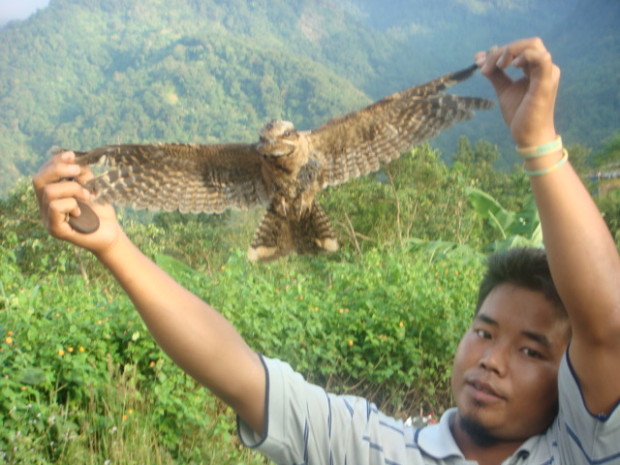 В индийской деревне птицы убивают сами себя