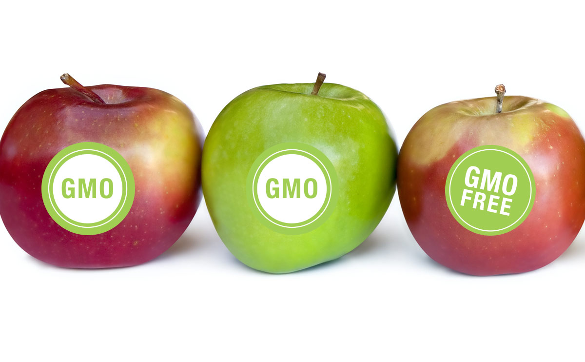 Почти триста учёных и экспертов согласны, что безопасность ГМО еще недоказана