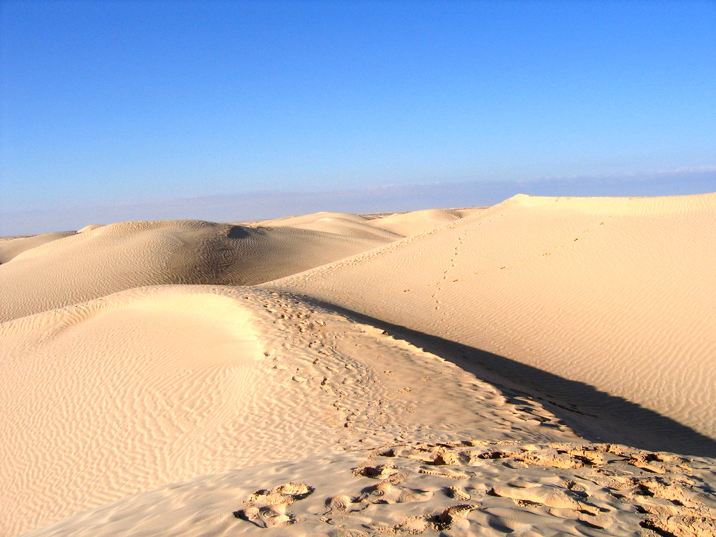 Луга Сахары превратились в пустыню из-за наклона оси Земли