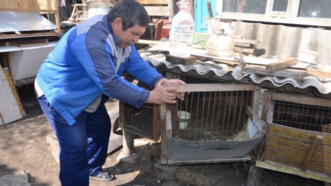 Житель Воронежской области рассказал, как поймал чупакабру в капкан