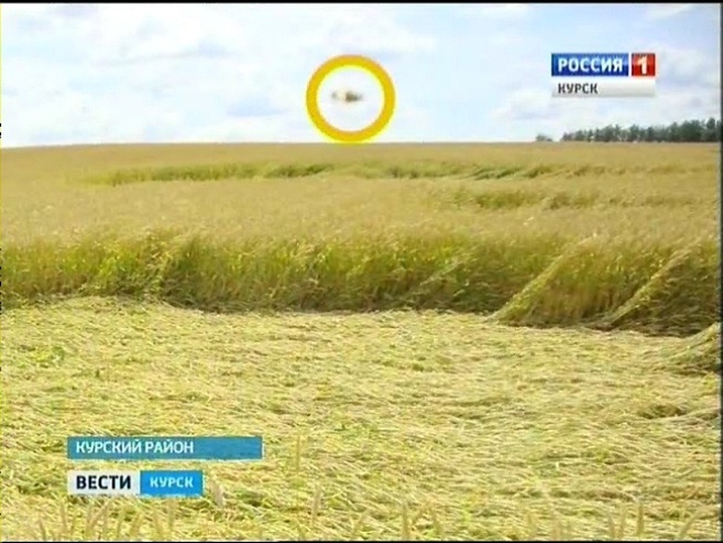 Необычные узоры на полях Курской области