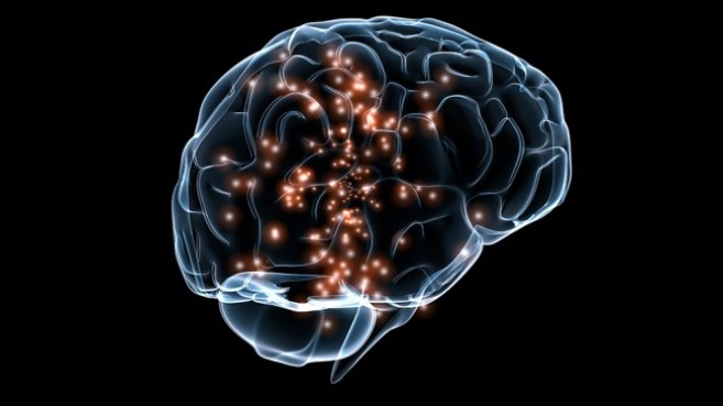 Ученые опровергли популярный миф о неиспользуемых возможностях мозга