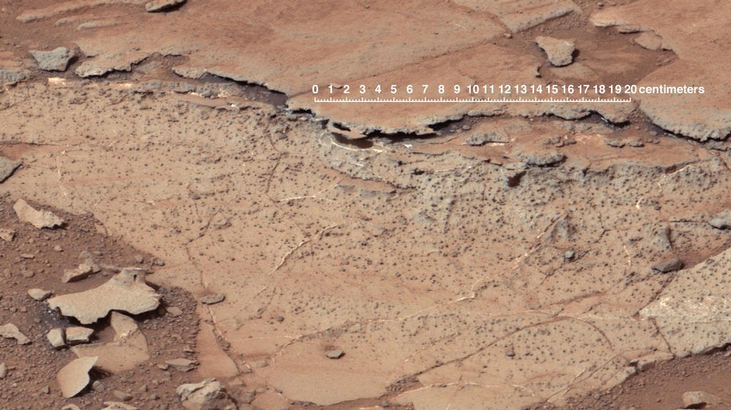 Шанс на жизнь: Марс и Земля имеют схожие почвы