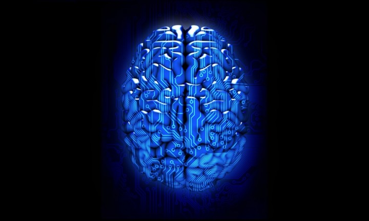 Жидкие мозговые импланты способны увеличить наш интеллект