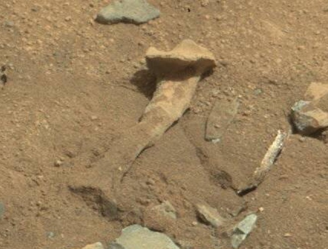 Curiosity обнаружил на Марсе...бедренную кость