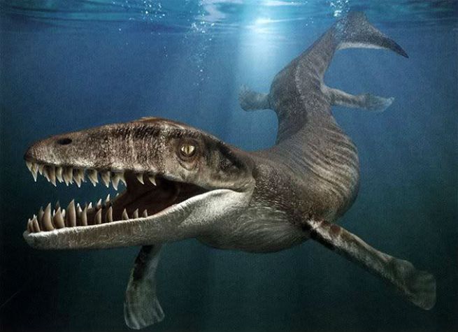 Останки динозавра, найденные на Ямале, вызвали дискуссию ученых
