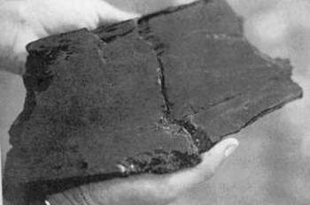 Фрагмент отполированной деревянной дощечки возрастом около 500 тысяч лет, найденной в 1989 году в результате раскопок в долине северного Иордана в Израиле. Фото с сайта: epochtimes.com.ua