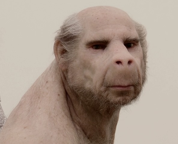 Эксперимент доктора Иванова о создании гибридов обезьяны и человека удался?