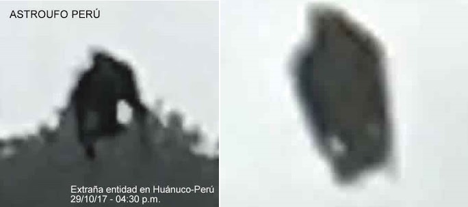 Житель Перу заснял взлетающее черное существо