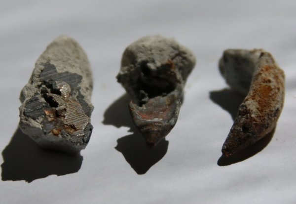 Загадка из Крыма: В камне, возрастом 70 миллионов лет, обнаружили... медные пули
